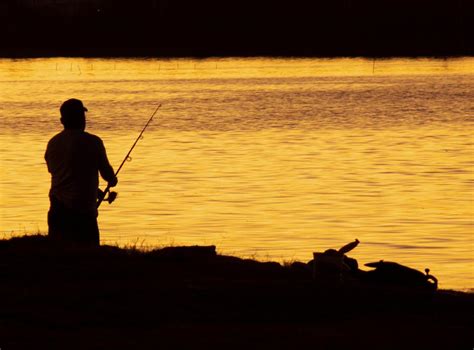 Fishin' in the Dark- private shoreline view for lounging or fishing. Welcome to Fishin in the Dark. Come enjoy a lazy yellow moon, shining thru the trees, where ...